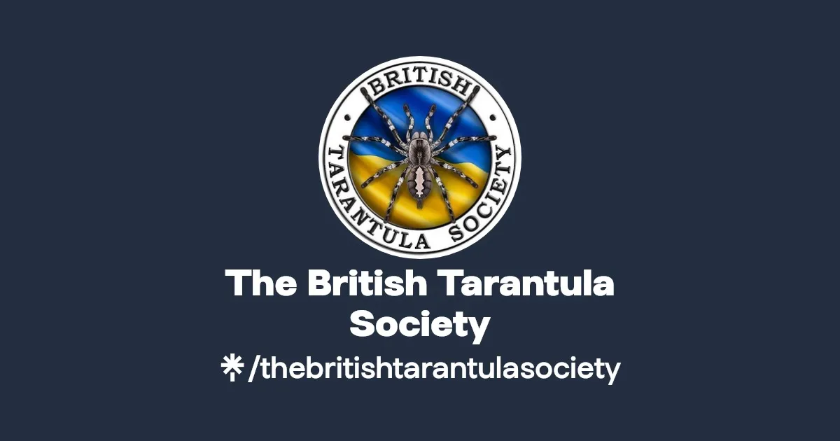 15089 tarantula feeding