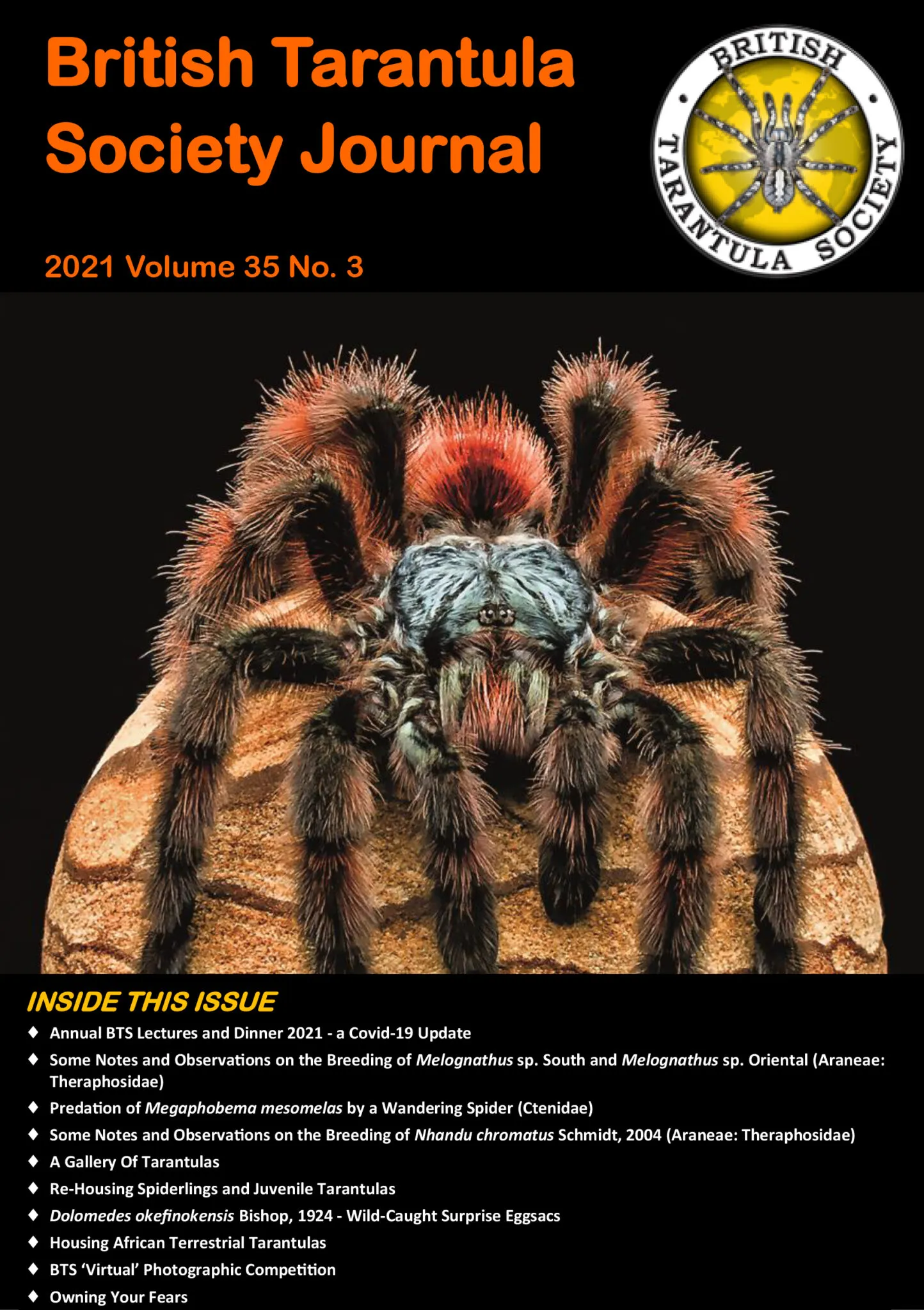 15089 tarantula in enclosure