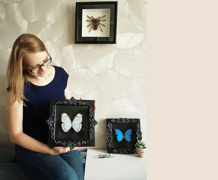 15106 tarantula 2 features