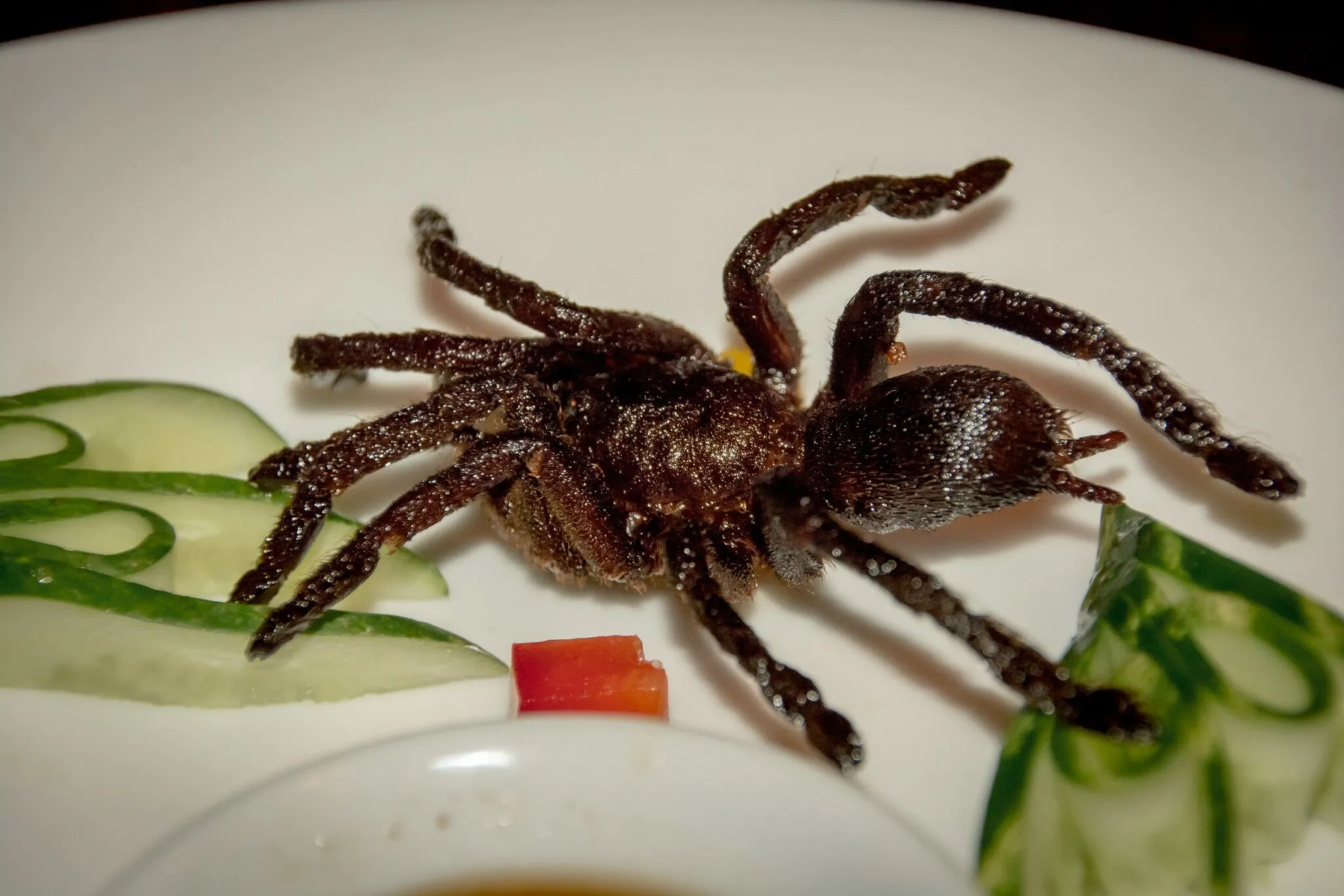 15116 crickets for tarantulas