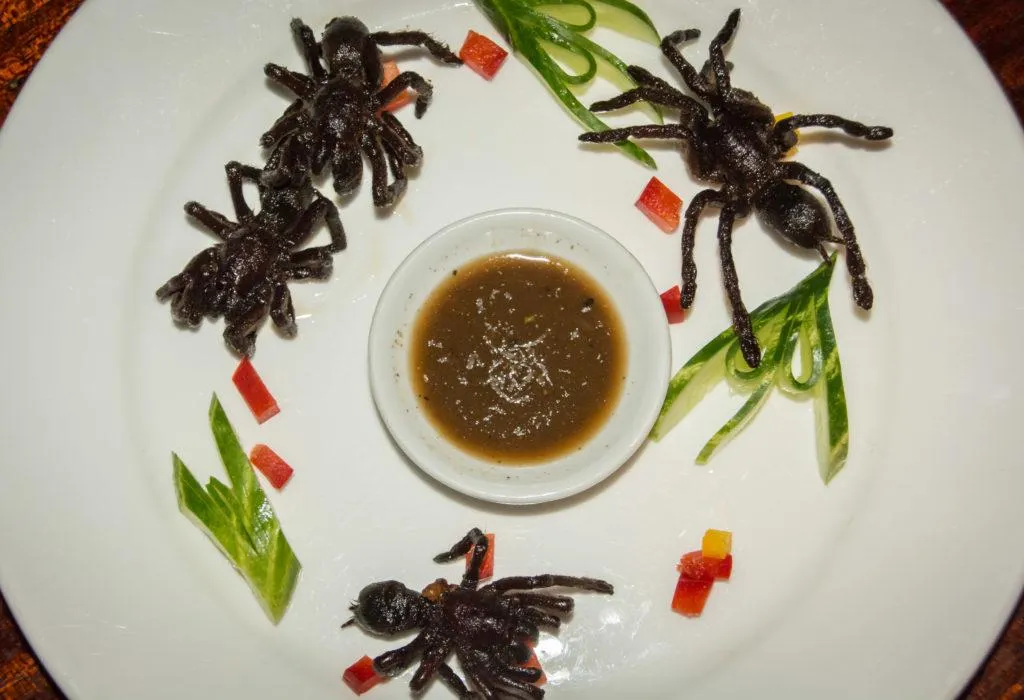 15116 roaches tarantula