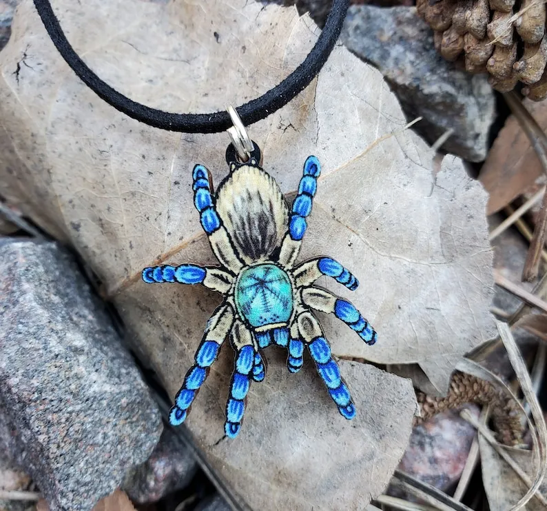 15117 island blue tarantula mating