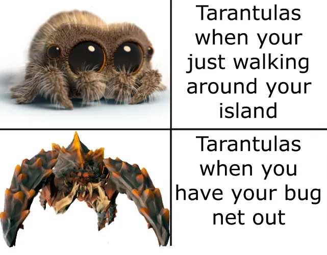 15122 tarantula rain animal crossing image 4